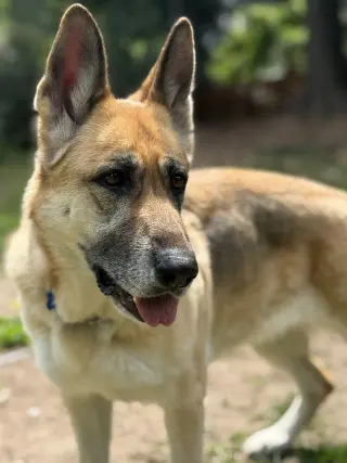 Zoey