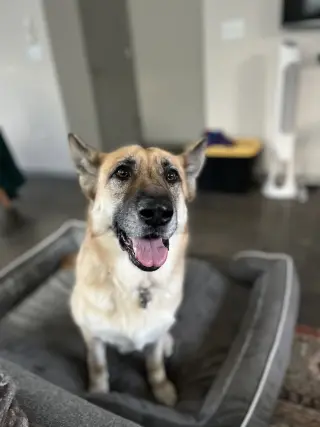 Zoey