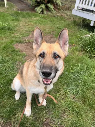 Zoey