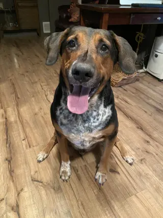 RESCUE