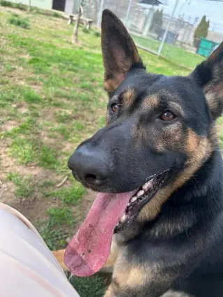 Kash