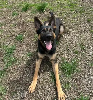 Kash