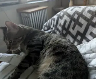 Velcro