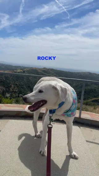 ROCKY