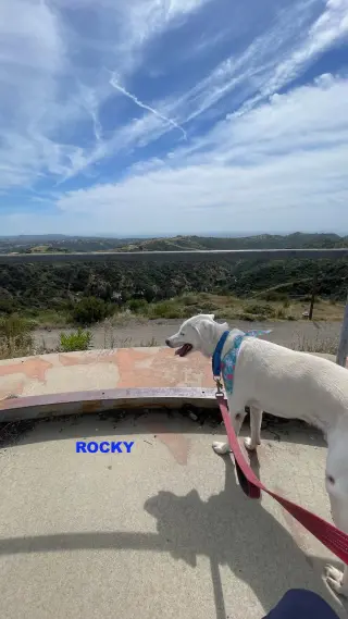 ROCKY