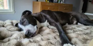 WINK