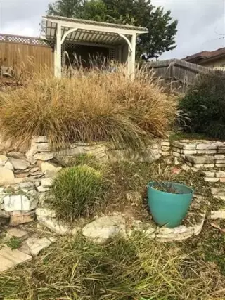 Domingue’z Lawn Service
