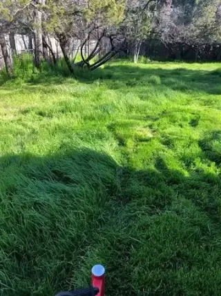 Domingue’z Lawn Service