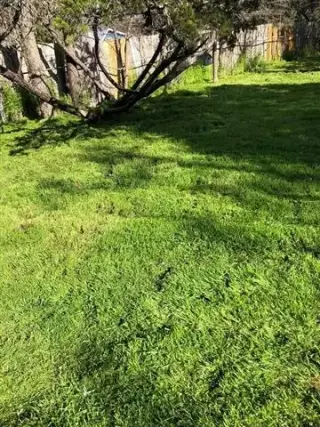Domingue’z Lawn Service
