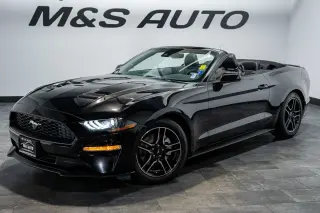 2023 Ford Mustang