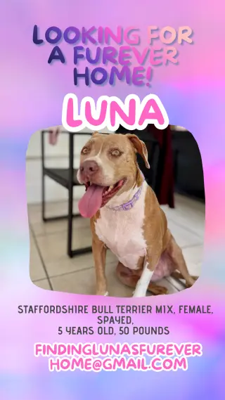 COURTESY POST: Luna