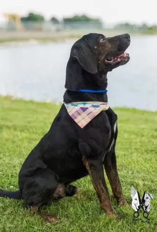 Walter
