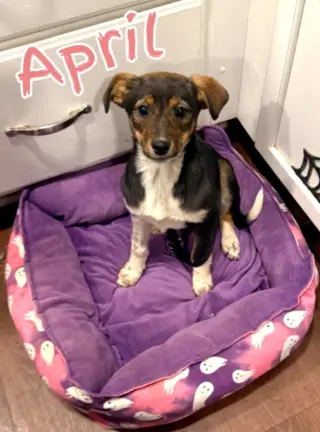 April
