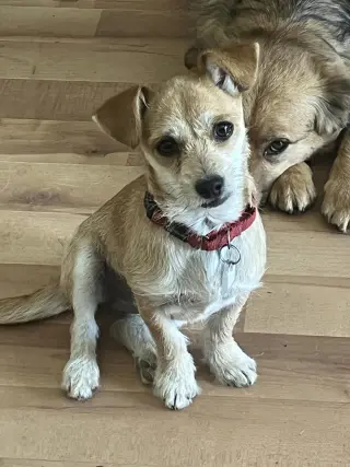 Tilly