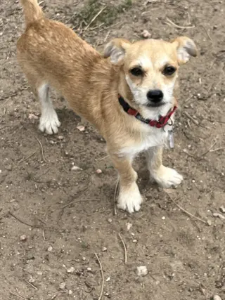 Tilly