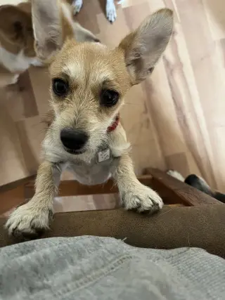Tilly