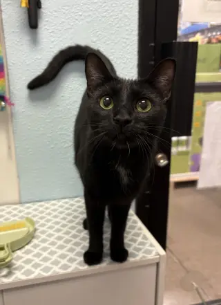 Luna