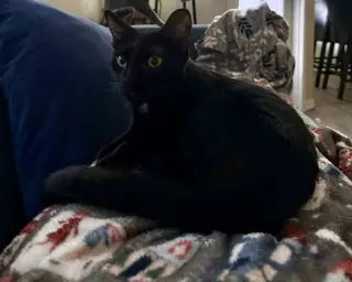 Luna