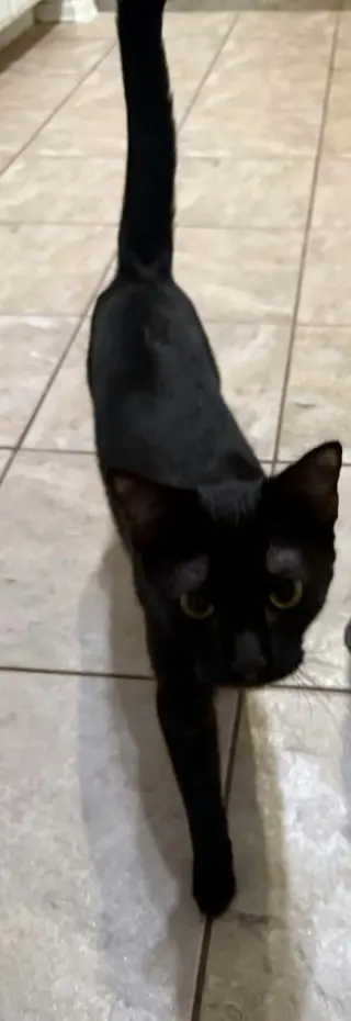 Luna