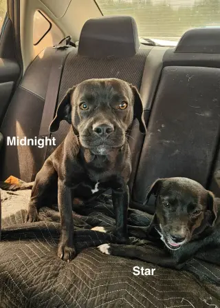 Midnight