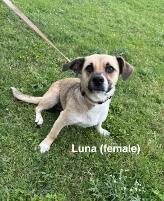 Luna and Zeus