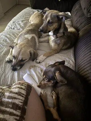 Luna and Zeus