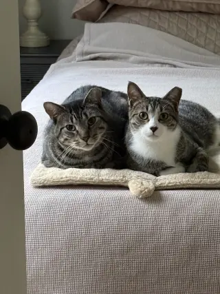 Cubbie and Jesse