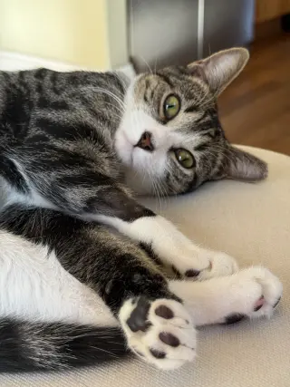 Cubbie and Jesse