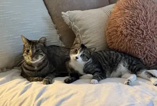 Cubbie and Jesse