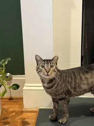 Cubbie and Jesse