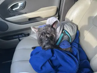 Pablo