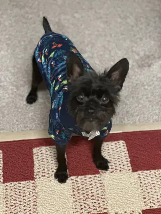 Pablo