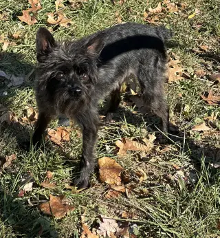 Pablo