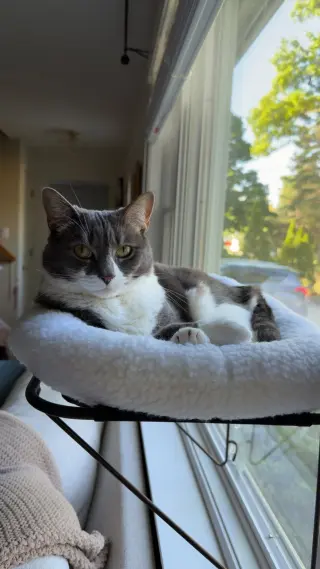 Sophia