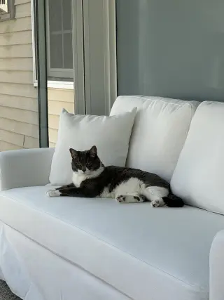 Sophia