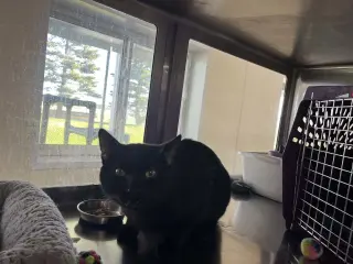 Jack