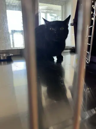 Jack