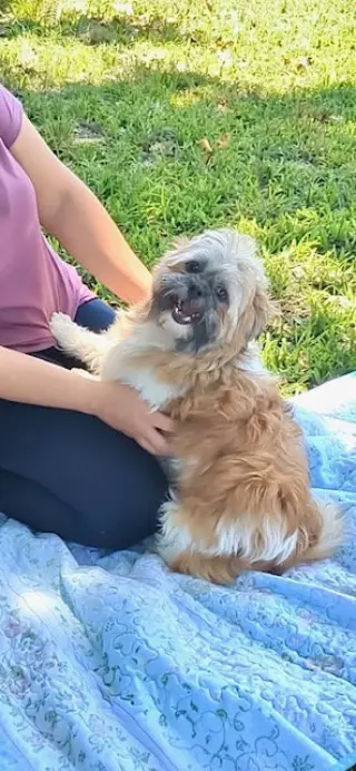 Franklin