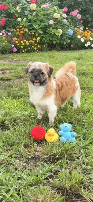 Franklin