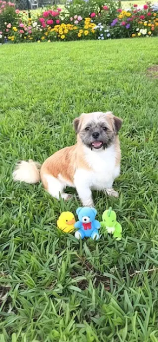 Franklin