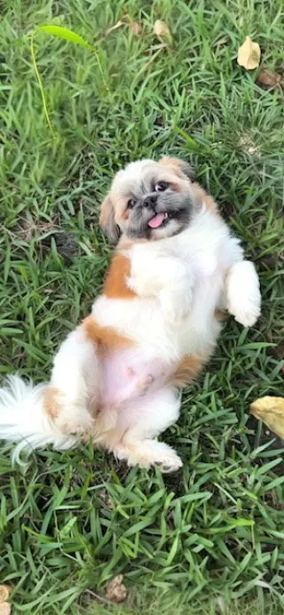 Franklin