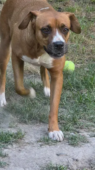Mochie - goofy girl