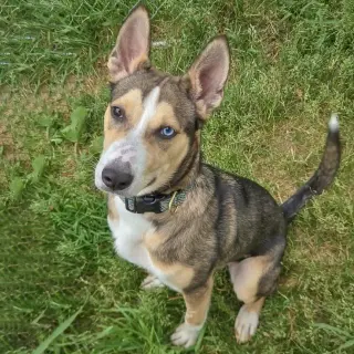 Marley