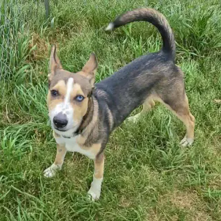 Marley