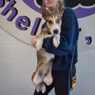 Marley