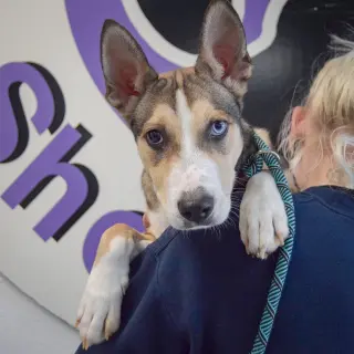 Marley