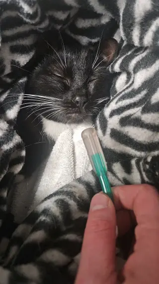 *Smoke