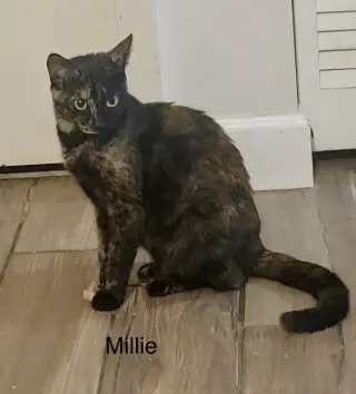 Millie