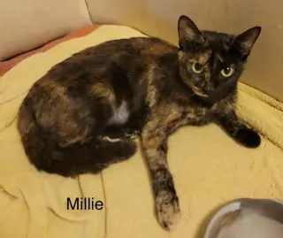 Millie