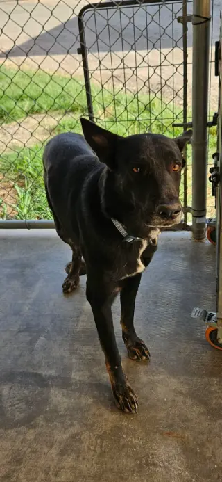 Ernie